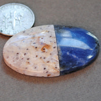 Intarsia, Sodalite and Petrified Palm Wood Root