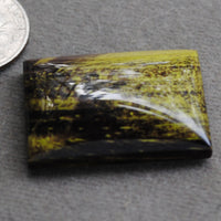 Wood, Turkish Collawood