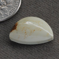 Variscite, Seven Dwarfs, Natural