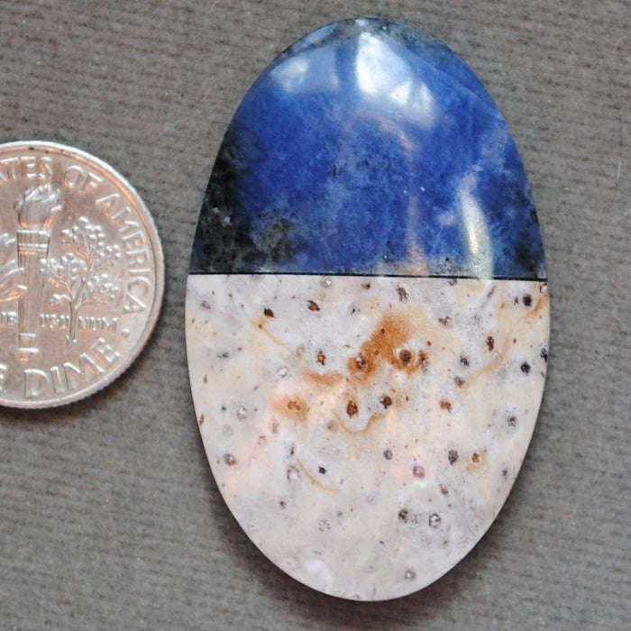 Intarsia, Sodalite and Petrified Palm Wood Root