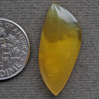 Opal, Honey Opal