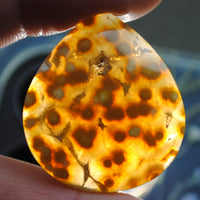 Agate, Orbicular translucent agate, Goosebump Agate