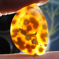 Agate, Orbicular translucent agate, Goosebump Agate