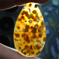 Agate, Orbicular translucent agate, Goosebump Agate