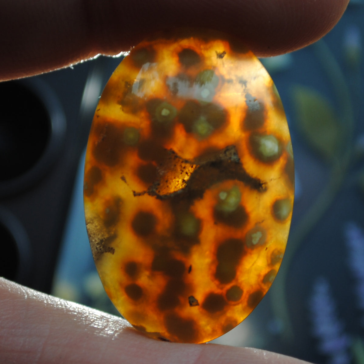 Agate, Orbicular translucent agate, Goosebump Agate