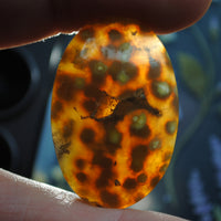 Agate, Orbicular translucent agate, Goosebump Agate