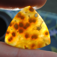 Agate, Orbicular translucent agate, Goosebump Agate