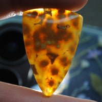Agate, Orbicular translucent agate, Goosebump Agate