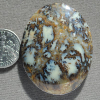 Opal, Dendritic Opal