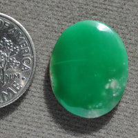 Variscite, Lucin, Translucent when backlit!