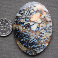 Opal, Dendritic Opal