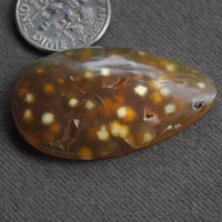 Agate, Orbicular translucent agate, Goosebump Agate