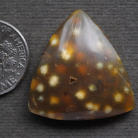 Agate, Orbicular translucent agate, Goosebump Agate