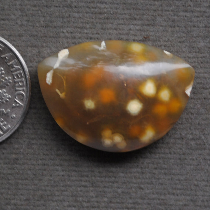 Agate, Orbicular translucent agate, Goosebump Agate