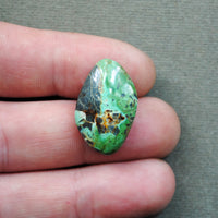 Turquoise, Green Tree, Natural