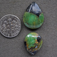 Variscite, Blue Fern, PAIR! Natural