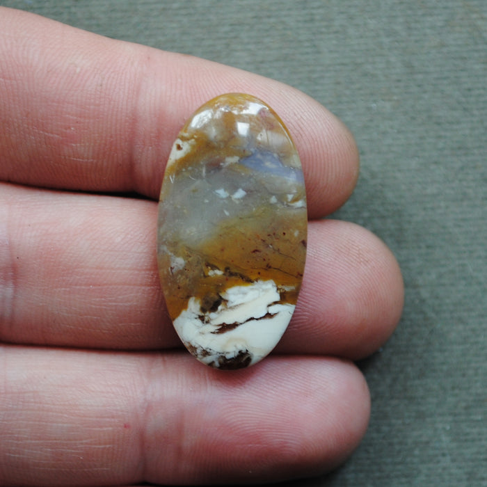 Petrified Wood, Arizona, Natural