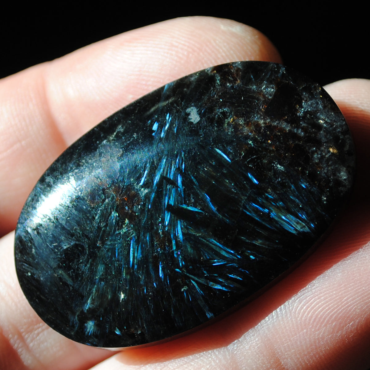 Anthophyllite, in garnet