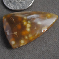Agate, Orbicular translucent agate, Goosebump Agate