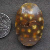Agate, Orbicular translucent agate, Goosebump Agate