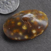Agate, Orbicular translucent agate, Goosebump Agate