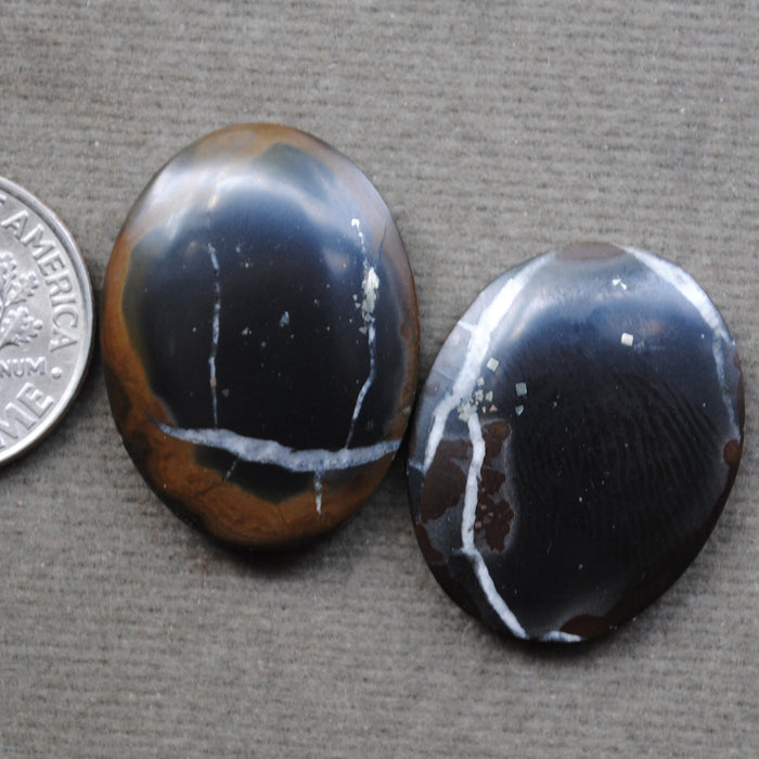 Septarian, PAIR, with Pyrite