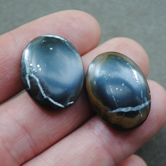 Septarian, PAIR, with Pyrite