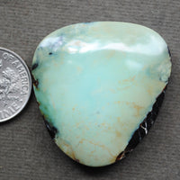 Variscite, Saguaro