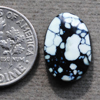 Variscite, New Lander, Old Stock