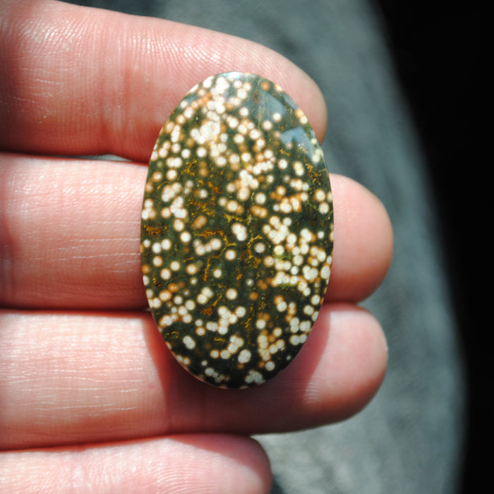 Ocean Jasper