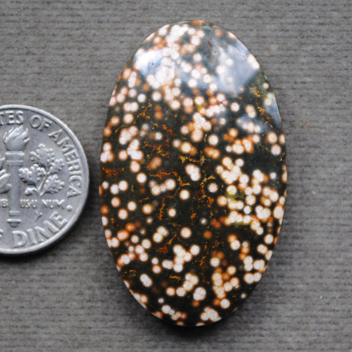 Ocean Jasper
