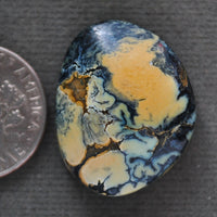 Variscite, New Lander, Natural