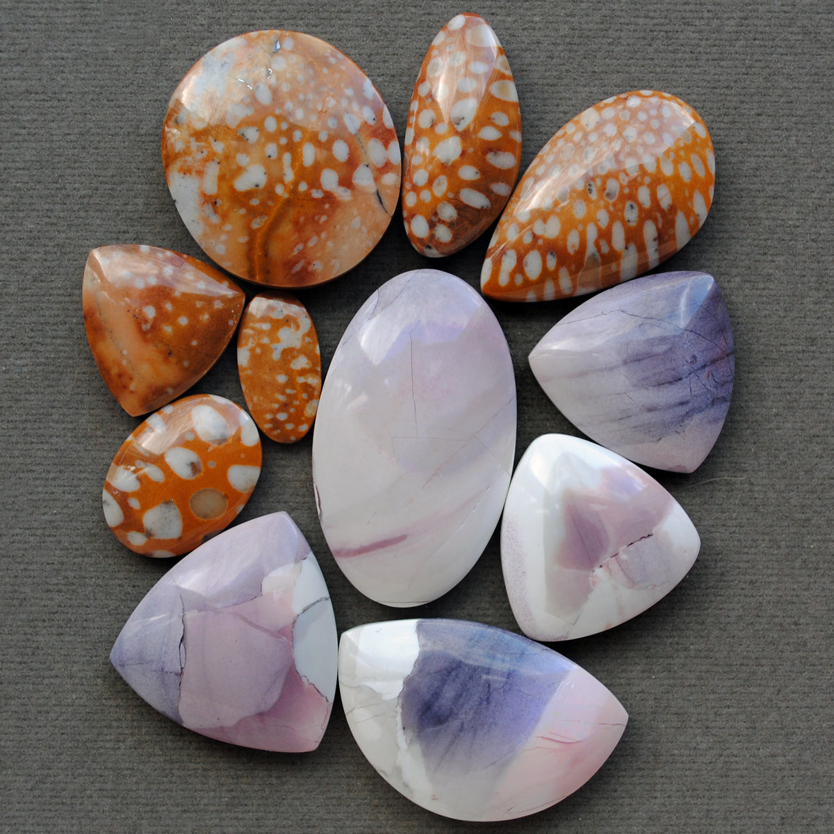 Jasper, Fawn Jasper