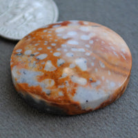 Jasper, Fawn Jasper