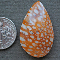 Jasper, Fawn Jasper