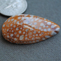Jasper, Fawn Jasper