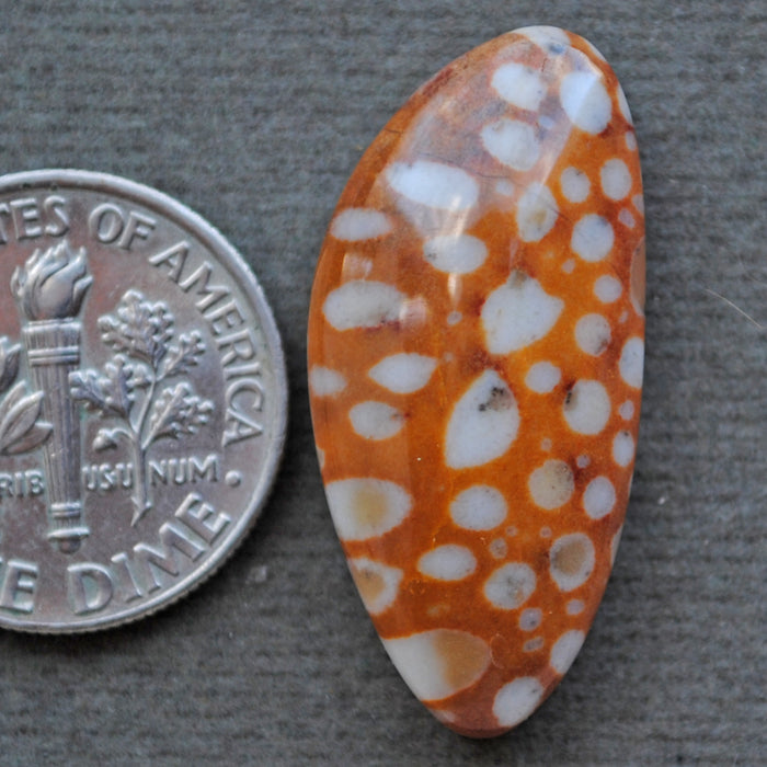 Jasper, Fawn Jasper