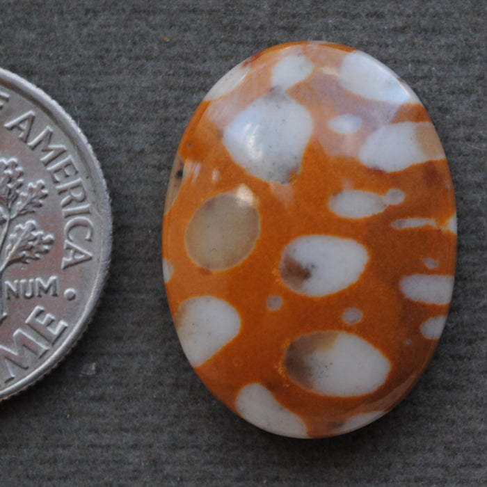 Jasper, Fawn Jasper
