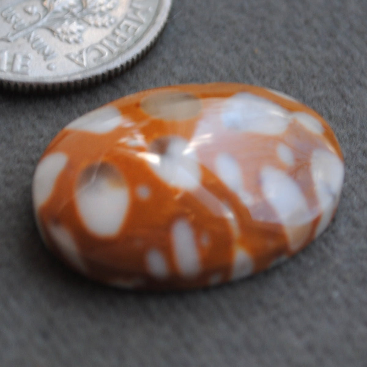 Jasper, Fawn Jasper