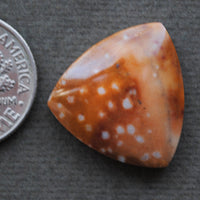 Jasper, Fawn Jasper