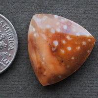 Jasper, Fawn Jasper