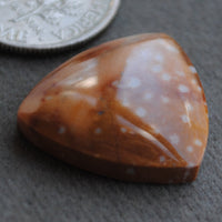 Jasper, Fawn Jasper