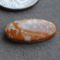 Jasper, Fawn Jasper
