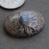 Indian Paint Stone, Death Valley