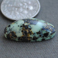 Variscite, Turquoise, Snowville, Natural