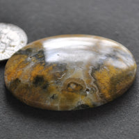 Jasper, Flowering Bumble Bee Jasper, Natural