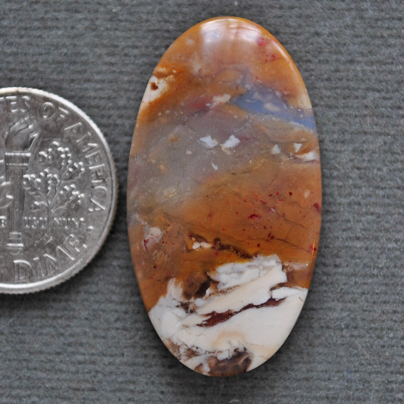 Petrified Wood, Arizona, Natural