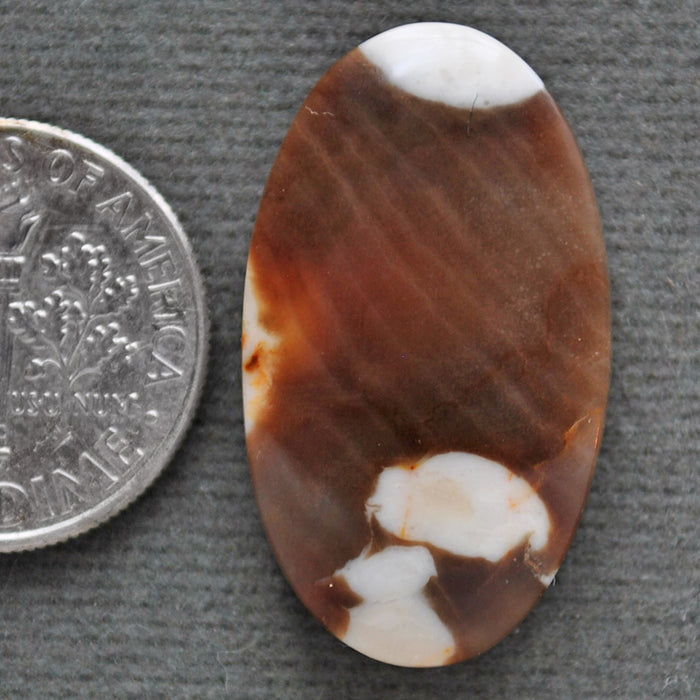 Petrified Wood, Peanut Wood, Natural