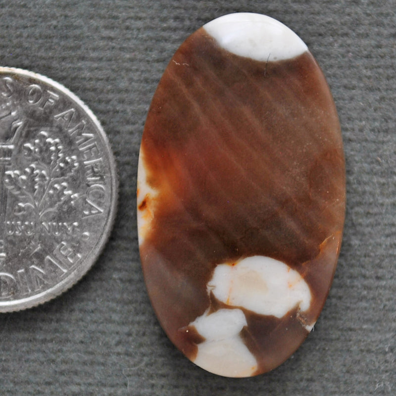 Petrified Wood, Peanut Wood, Natural