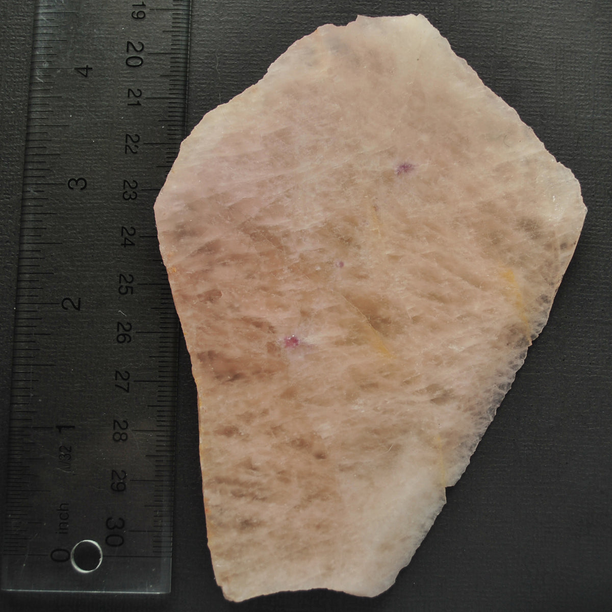 Morganite with Leopidolite SLAB 5"x 3"